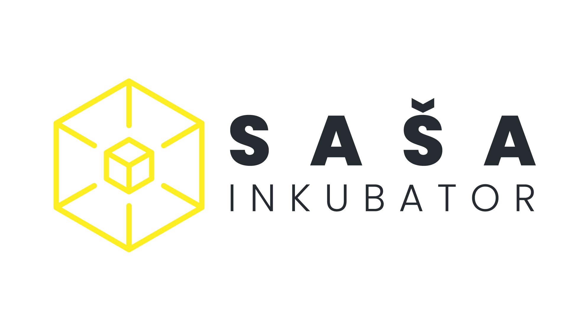 Saša inkubator logotip